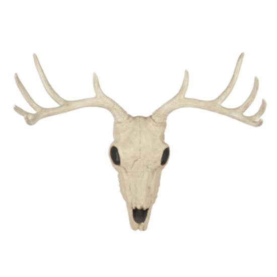 Picture of 21" BUCK SKULL