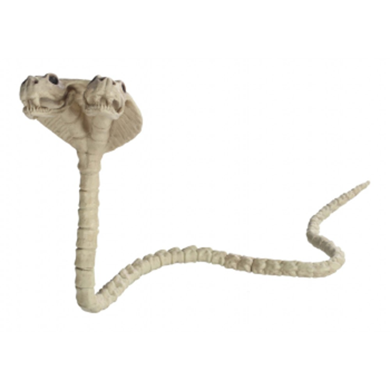 Image sur TWO HEADED COBRA SKELETON