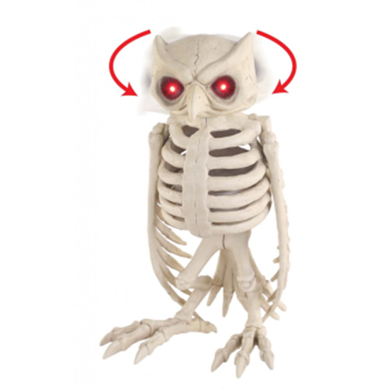 Image sur SKELETON OWL - ANIMATED W/LIGHT UP EYE/SOUND