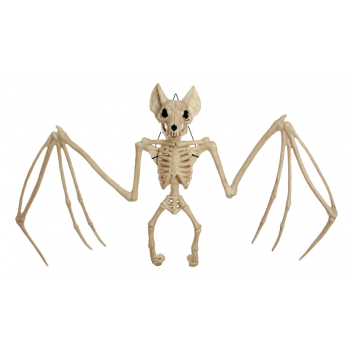 Image de 22.5" LARGE BAT SKELETON