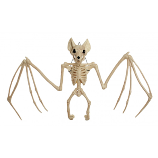 Image sur 22.5" LARGE BAT SKELETON