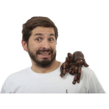 Image de SHOULDER BUDDY - TARANTULA