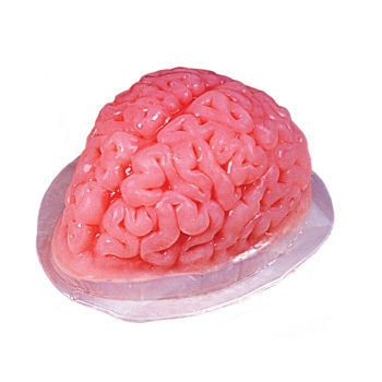 Image de BRAIN GELATIN MOLD