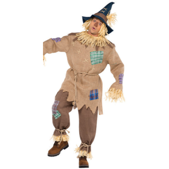 Picture of MR SCARECROW - ADULT STANDARD