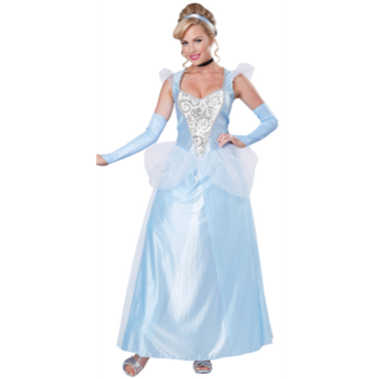 Picture of CINDERELLA - ADULT LARGE
