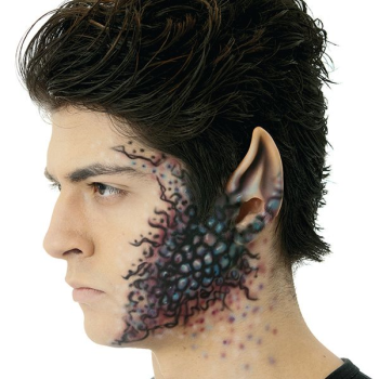 Image de EARS - SPACE EAR TIPS -  LARGE