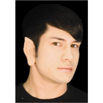 Image de DEMON EARS