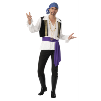 Picture of GYPSY - ADULT COSTUME STANDARD