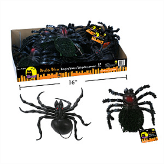 Image sur SPIDER 7''