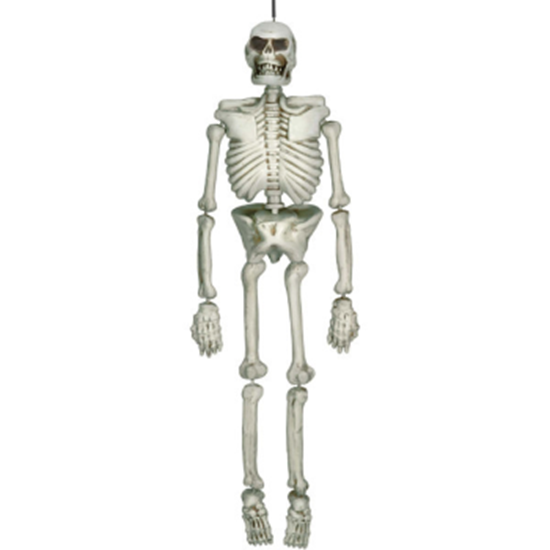 Image sur SKELETON PLASTIC - 5'