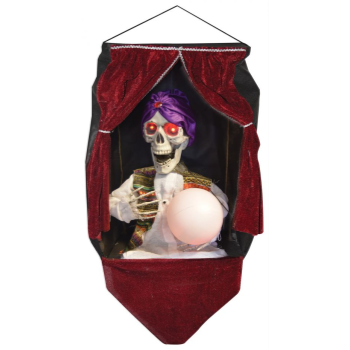 Picture of 27" ANIMATED FORTUNE TELLER