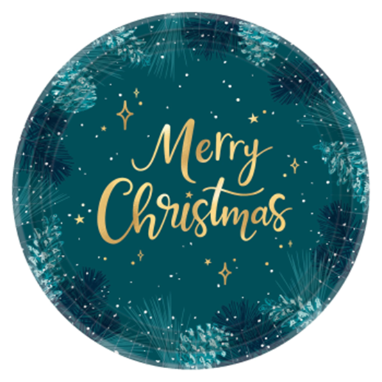 Image sur TABLEWARE - VERY MERRY TEAL - 10" METALLIC PLATE