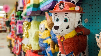 Picture of 100's of PINATA CHOICES