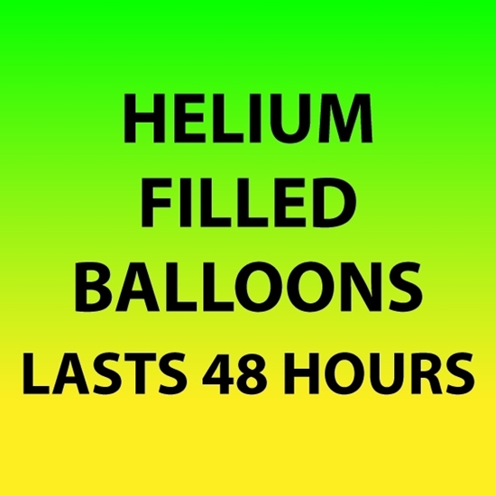 Picture of BALLOON INFO