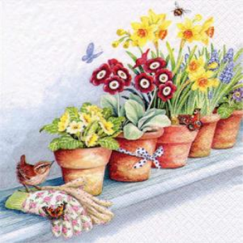 Image de GARDENING FLOWER PLANTS - LUNCHEON NAPKINS