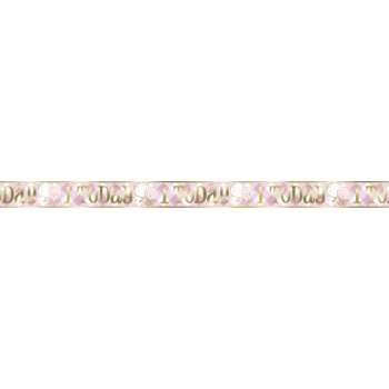 Picture of DECOR - 1st BIRTHDAY PINK GINGHAM - FOIL BANNER 12'