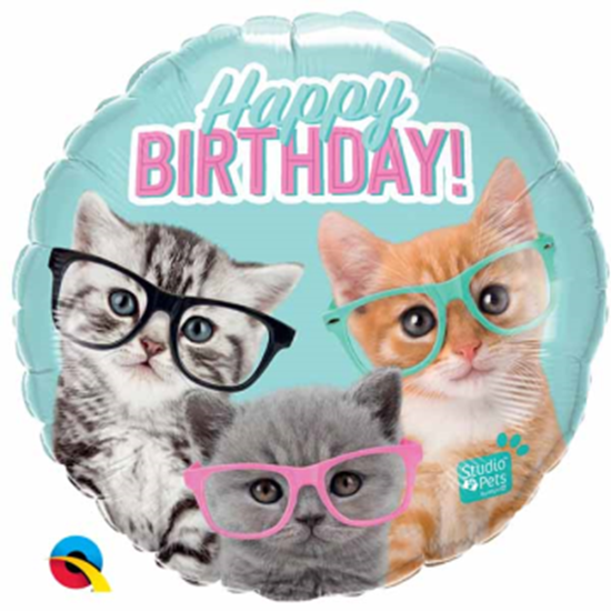 Image sur 18" FOIL - BIRTHDAY KITTENS WITH GLASSES