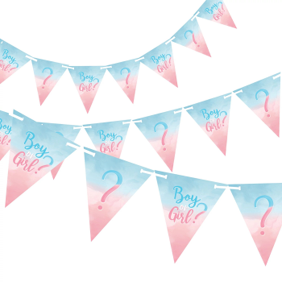 Picture of DECOR - THE BIG REVEAL PENNANT BANNER