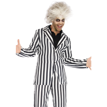Image de BEETLE BOSS COSTUME - LARGE
