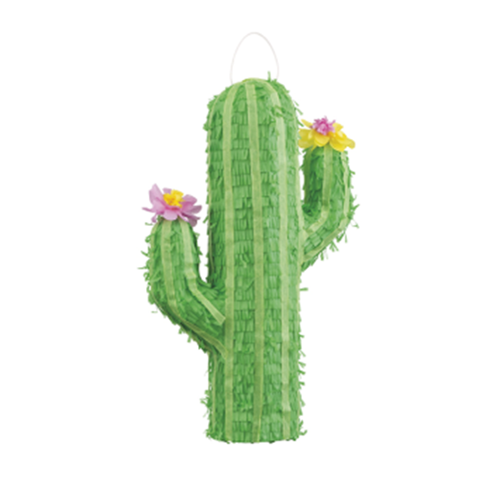 Picture of CACTUS 3D PINATA