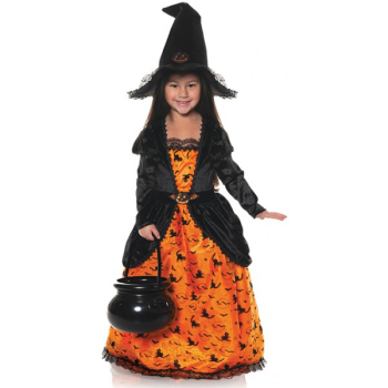 Picture of PUMPKIN WITCH COSTUME - LARGE