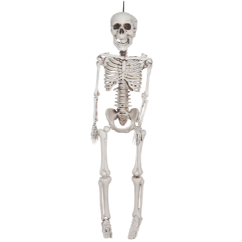 Picture of 35" REAILSTIC SKELETON