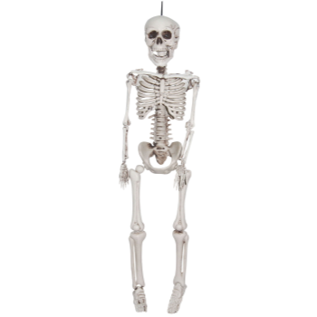 Image de 35" REAILSTIC SKELETON