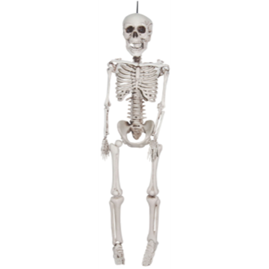 Picture of 35" REAILSTIC SKELETON