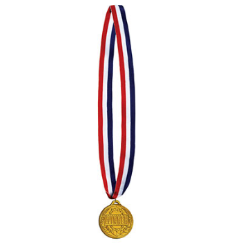 Picture of WINNER MEDALS ON RIBBON