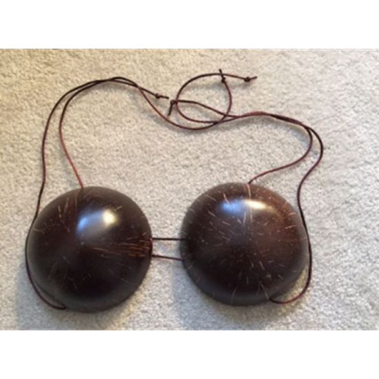 Picture of WEARABLES - COCONUT BRA
