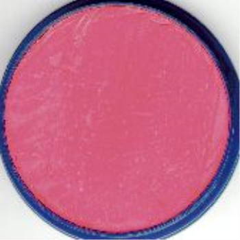 Image de SNAZAROO - 18 ml BRIGHT PINK PALETTE 