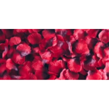 Image de ROSE PETALS 2000pc VALUE PACK - RED