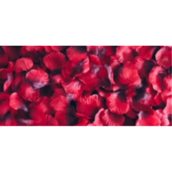 Image sur ROSE PETALS 2000pc VALUE PACK - RED