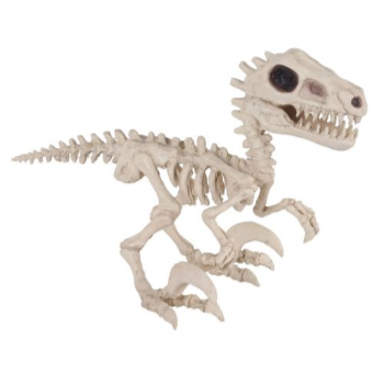 Image de SKELETON DINO - RAPTOR DINO 5.5"