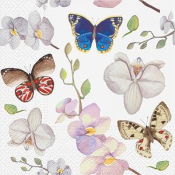 Image de BUTTERFLIES LUNCHEON NAPKINS