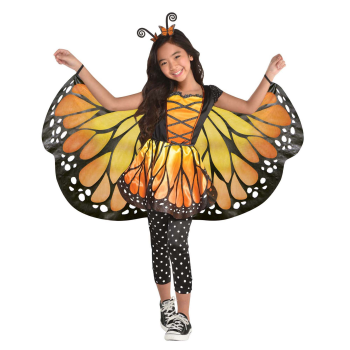Picture of MONARCH BUTTERFLY - KIDS SMALL