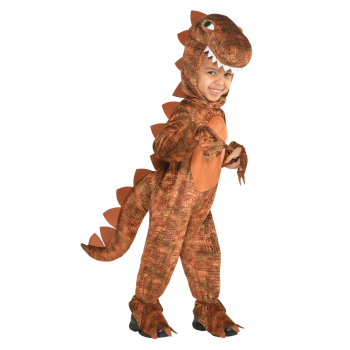 Picture of BROWN TREX DINOSAUR - BOYS SMALL
