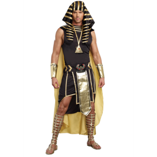 Image sur KING OF EGYPT COSTUME - MEN MEDIUM
