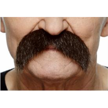 Image de MUSTACHE BUSHY - BROWN