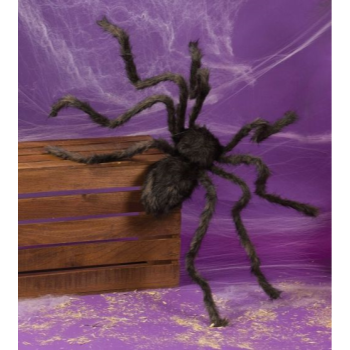 Image de POSABLE HAIRY SPIDER - 50"