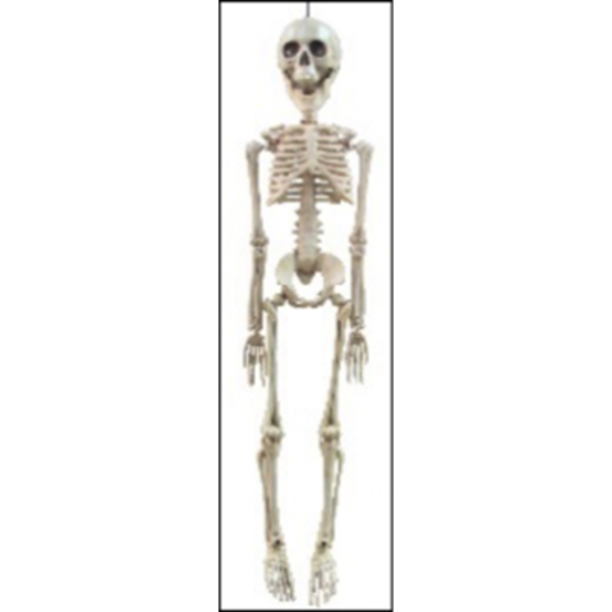 Picture of 20" REAILSTIC SKELETON