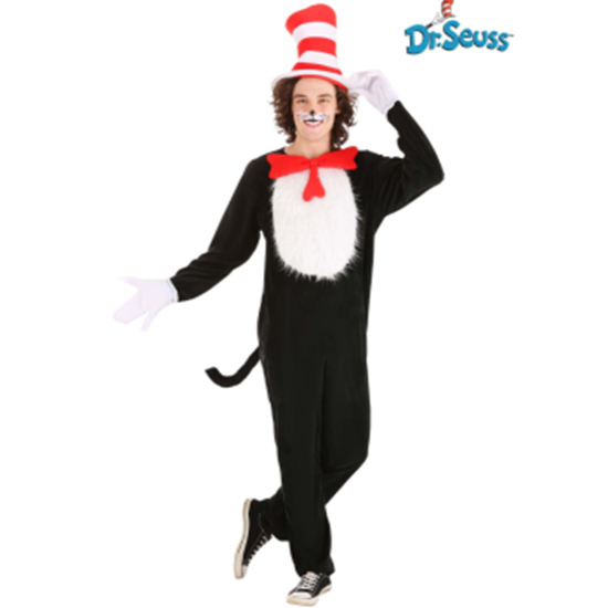 Image sur CAT IN THE HAT - ADULT SMALL