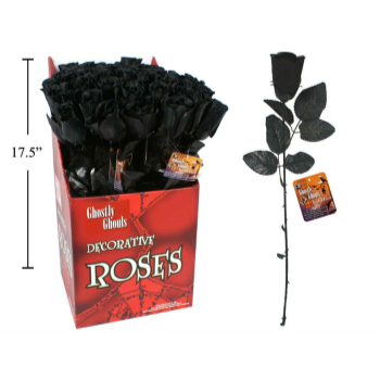 Image de 17'' BLACK ROSE - 48CT