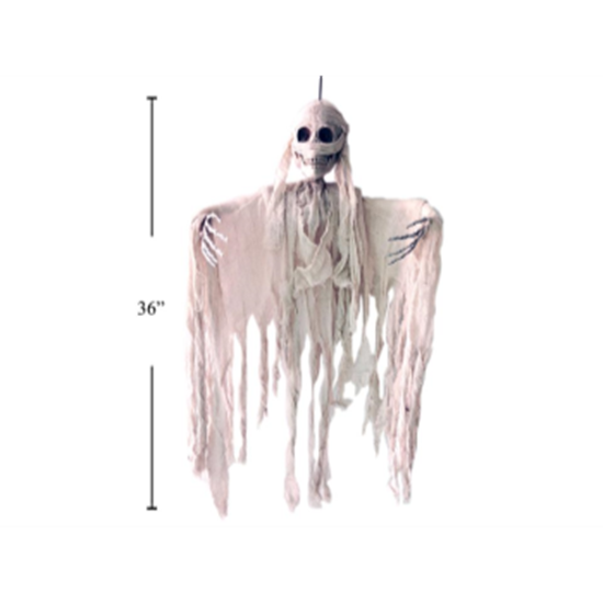 Image sur 36" ANIMATED HANGING GHOST