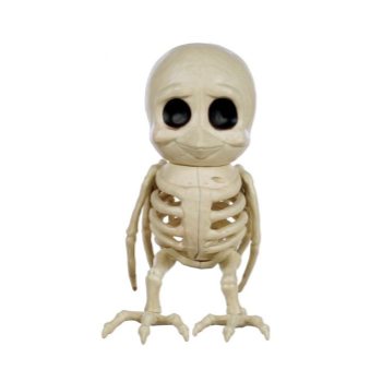 Picture of 7.5" CUTE BIRD SKELETON