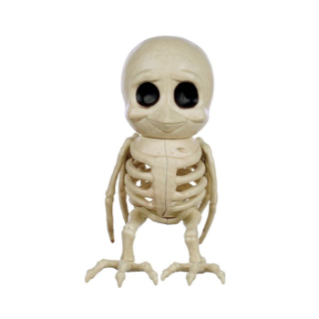 Image de 7.5" CUTE BIRD SKELETON