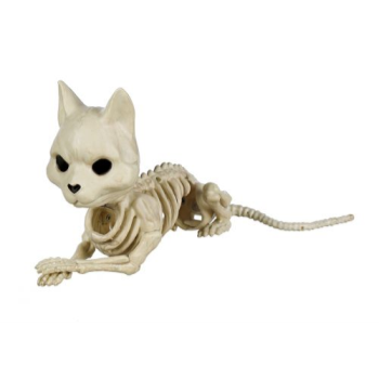 Picture of 5" CUTE LAYING CAT SKELETON