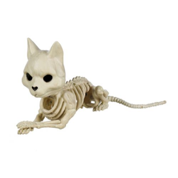 Image de 5" CUTE LAYING CAT SKELETON