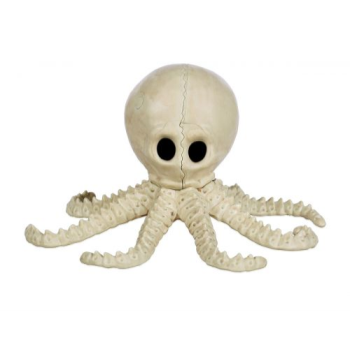 Image de 7.5" CUTE OCTOPUS SKELETON