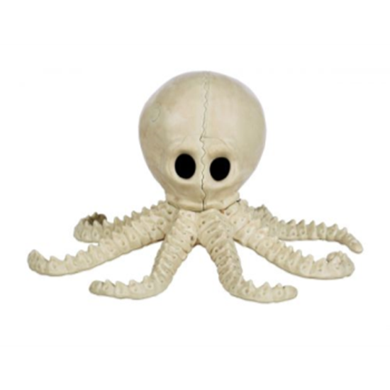 Picture of 7.5" CUTE OCTOPUS SKELETON